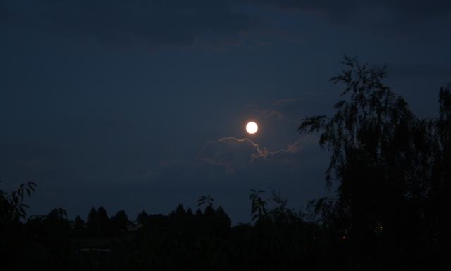 Image for Full Moon #1