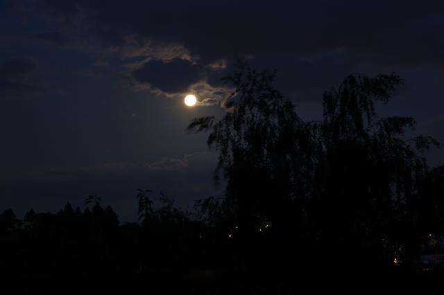 Image for Full Moon #2