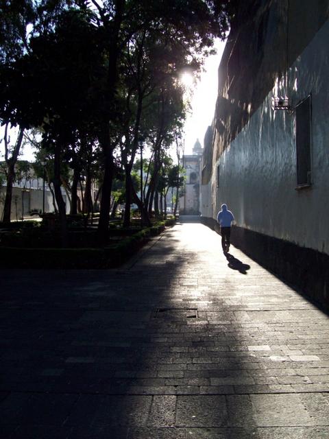 Image for Running shadow