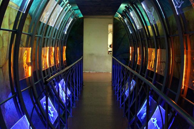 Image for Species tunnel