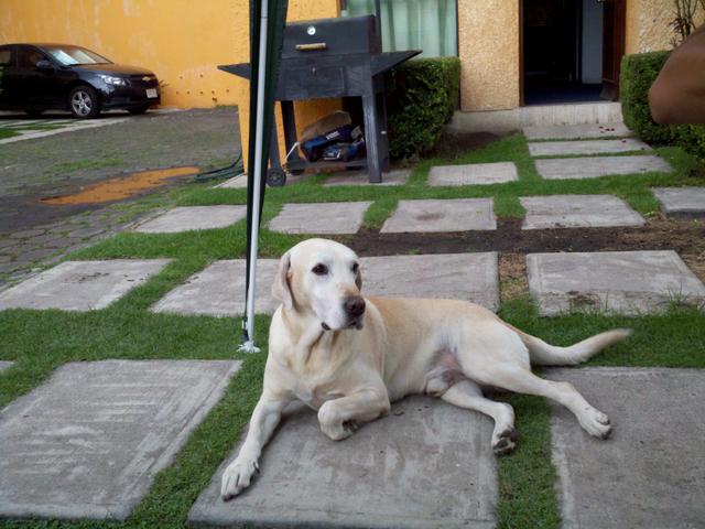 Image for Yusuke, the precious one