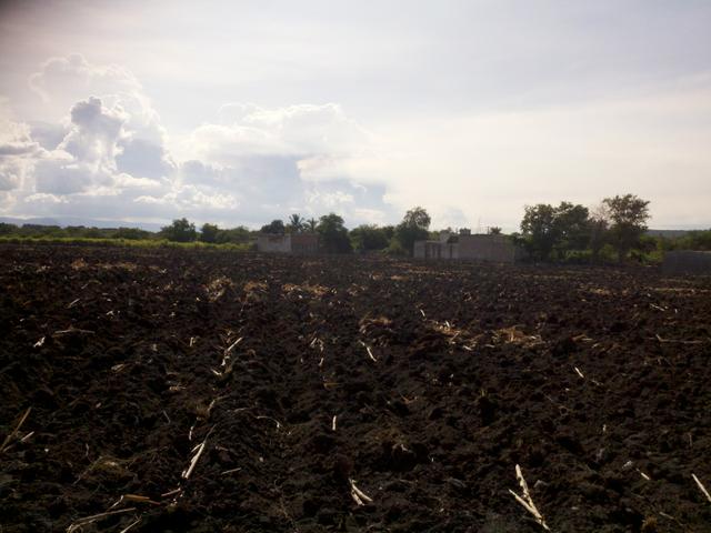 Image for Sembradíos de caña, Tlatenchi Morelos