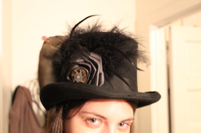 Image for Clove on Morgan's hat