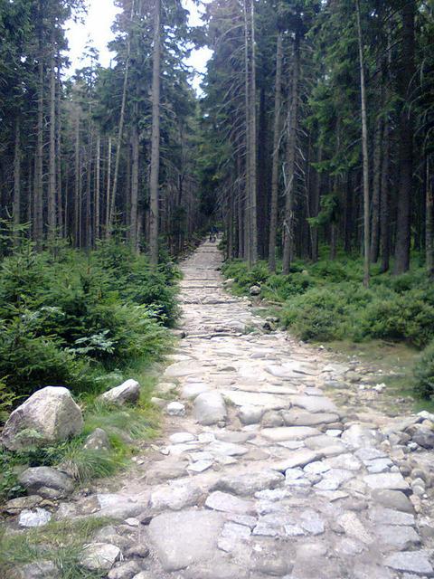 Image for Trail in the Giant Mountains