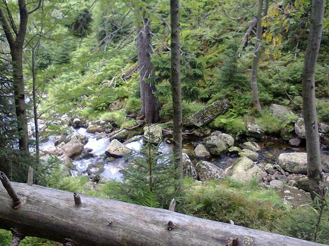 Image for Stream in the Giant Mountains