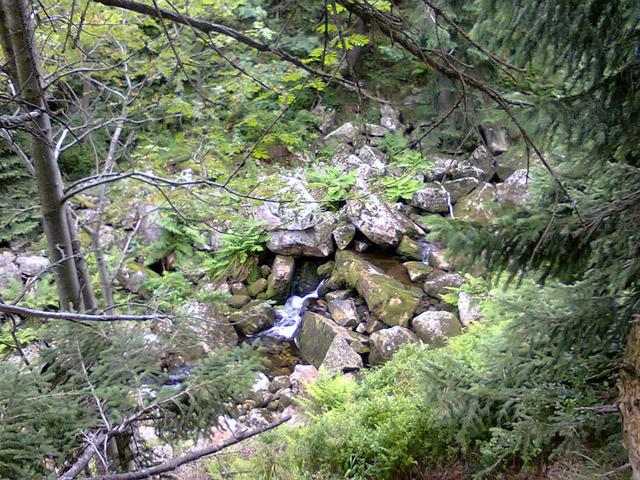 Image for Stream in the Giant Mountains