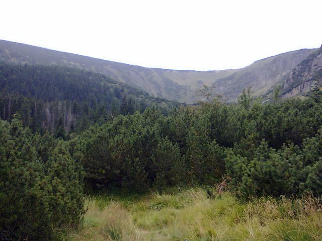 Image for Landscape taken in the Giant Mountains