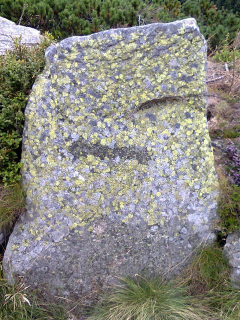 Image for Stone in the Giant Mountains