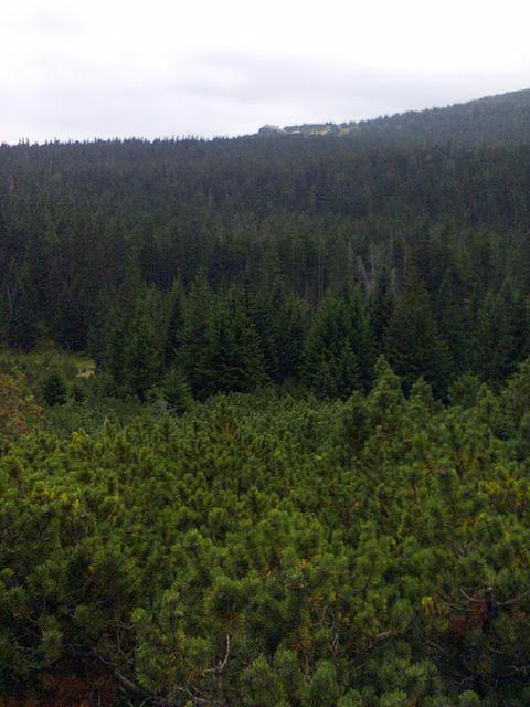 Image for Landscape taken in the Giant Mountains