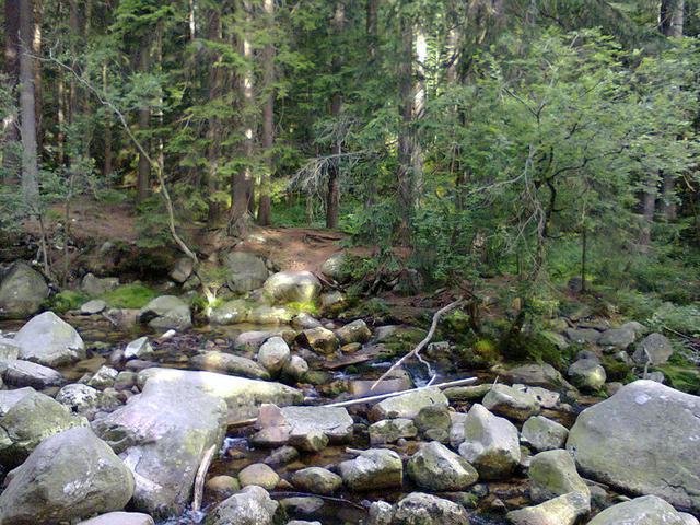 Image for  Stream in the Giant Mountains 