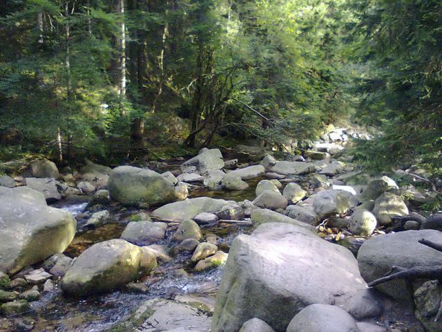 Image for  Stream in the Giant Mountains 