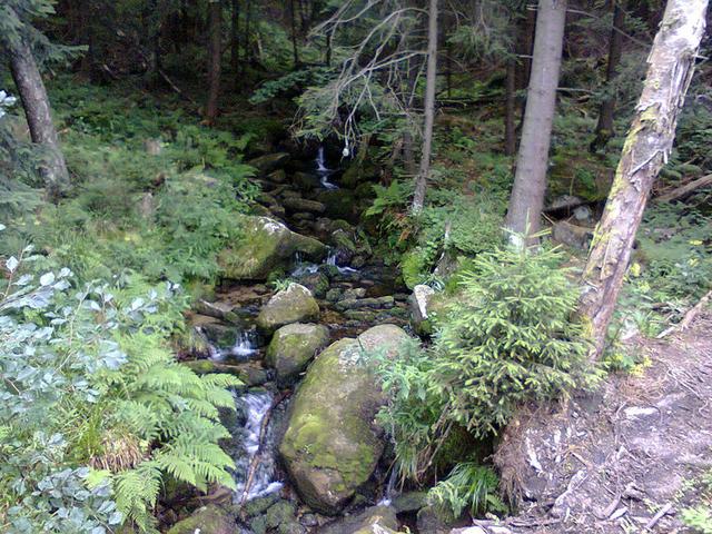Image for  Stream in the Giant Mountains 