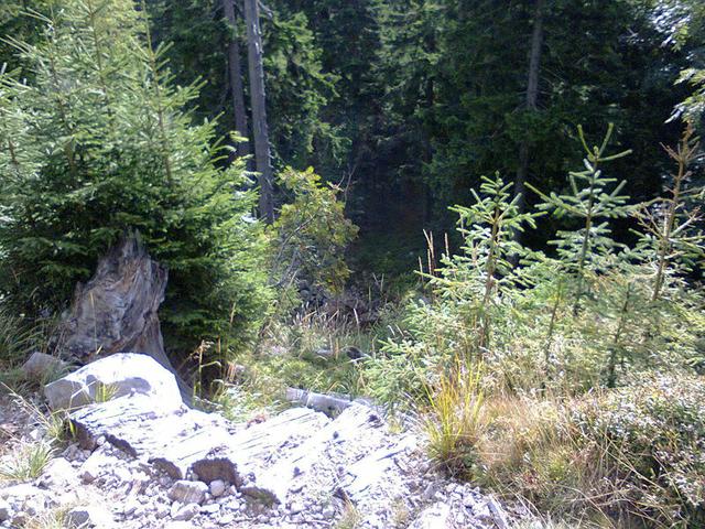 Image for  Landscape taken in the Giant Mountains 