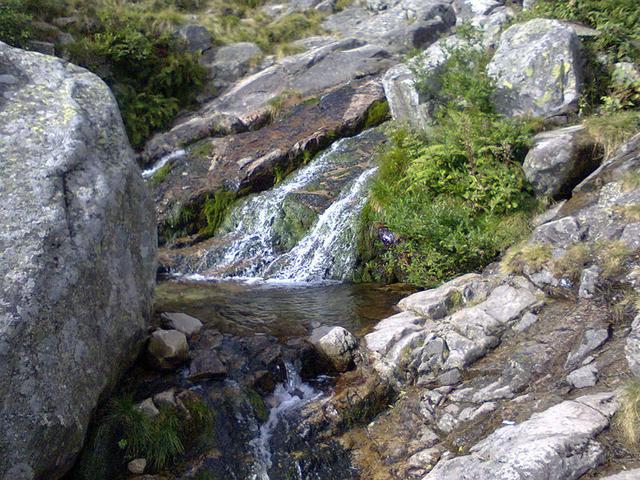 Image for  Stream in the Giant Mountains 