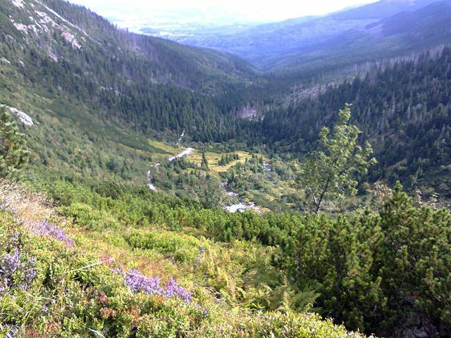 Image for  Landscape taken in the Giant Mountains 