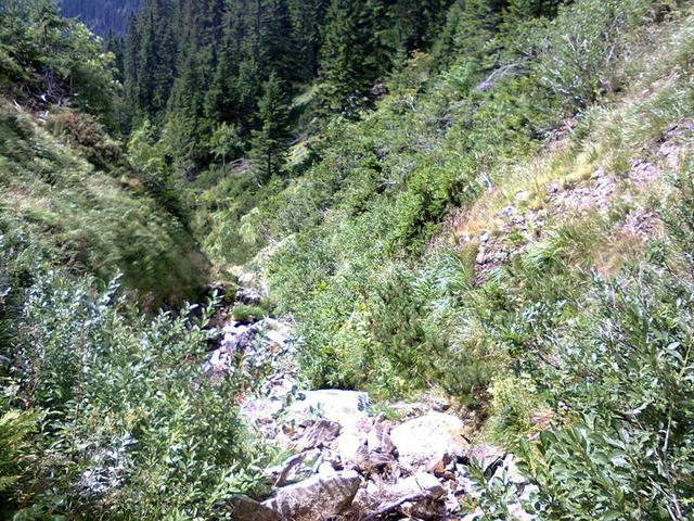 Image for  Landscape taken in the Giant Mountains 