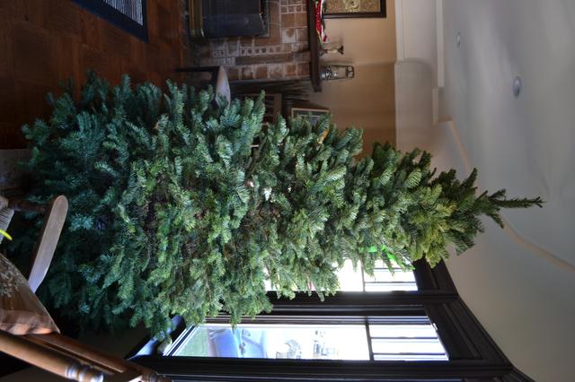 Image for xmas tree - step 1