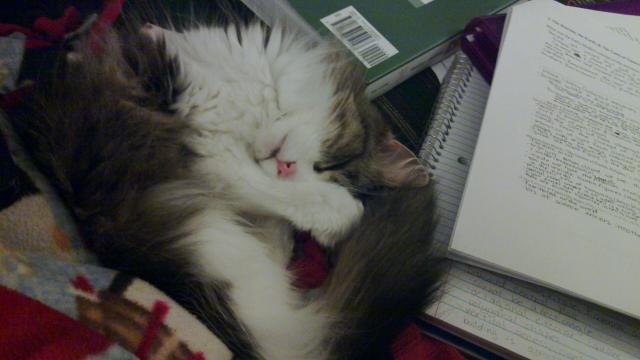 Image for Kelsey being cute