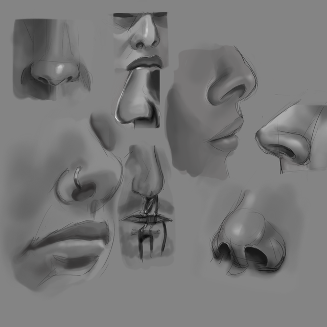 Image for noses