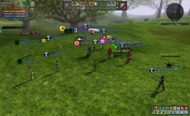 Image for Everybody!