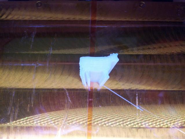 Image for Cow Extrusion Test