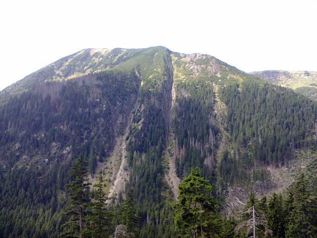 Image for  Landscape taken in the Giant Mountains 