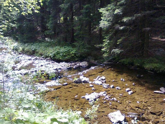 Image for Úpa river