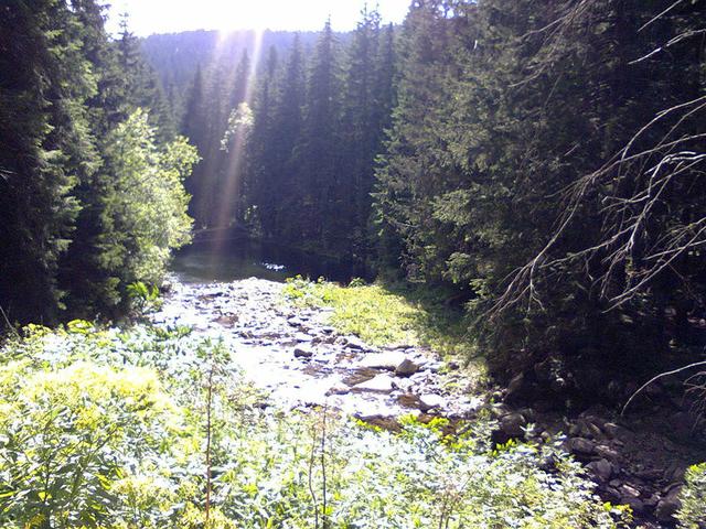 Image for  Úpa river