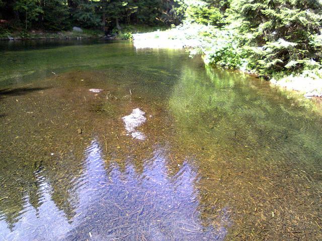 Image for  Úpa river