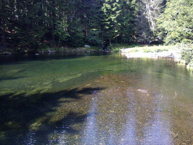 Image for  Úpa river 