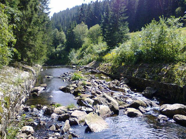 Image for  Úpa river 