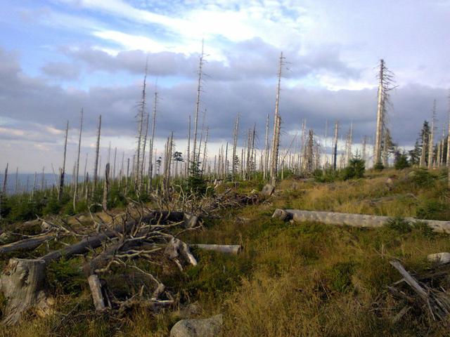 Image for  Landscape taken in the Giant Mountains 