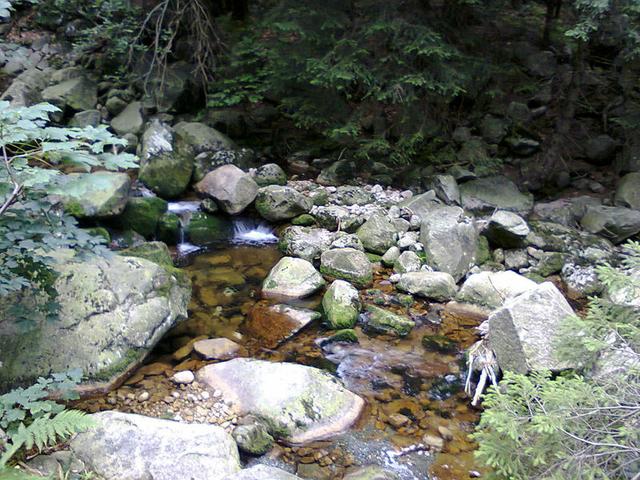 Image for Golden  Stream in the Giant Mountains  