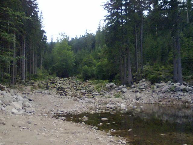Image for Golden  Stream in the Giant Mountains 
