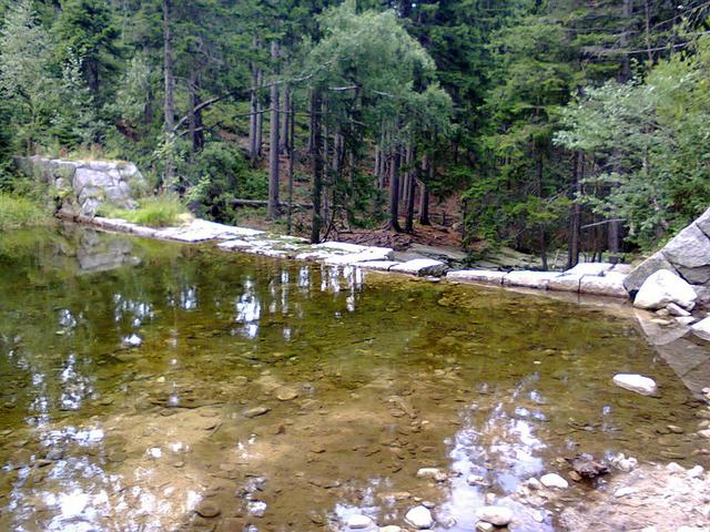 Image for  Golden Stream in the Giant Mountains 