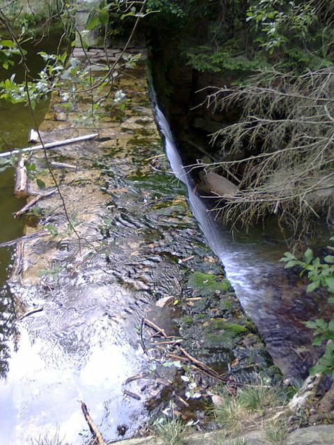 Image for Golden Stream in the Giant Mountains 