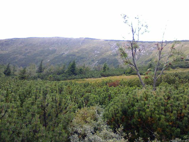 Image for  Landscape taken in the Giant Mountains 