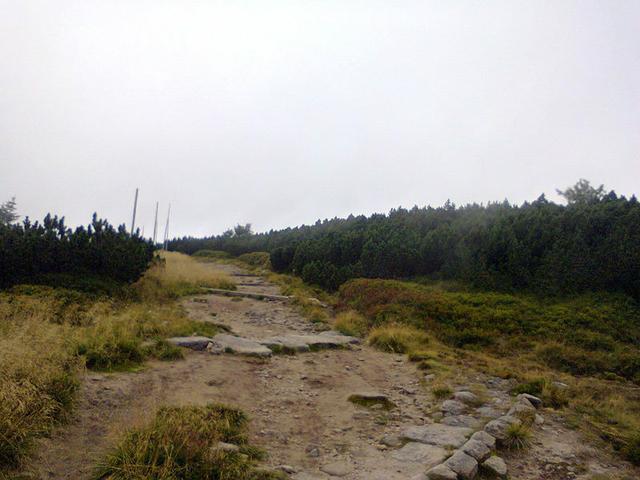 Image for Trail to "Sunflower rocks".