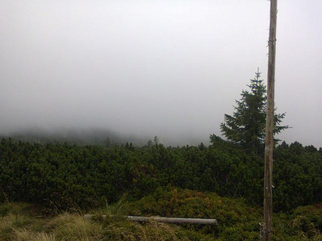 Image for In the clouds