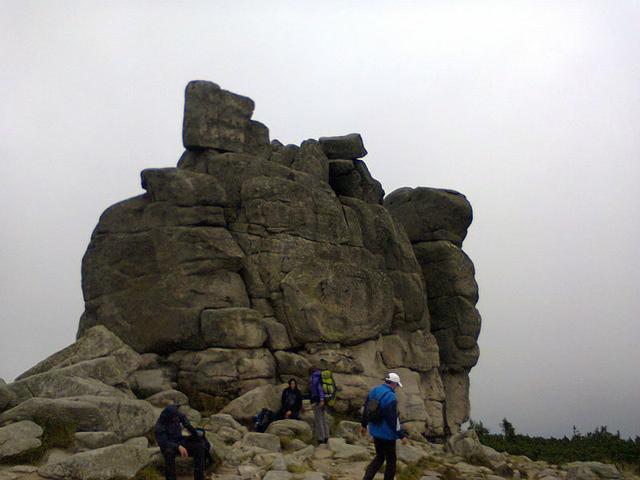 Image for Sunflower rocks