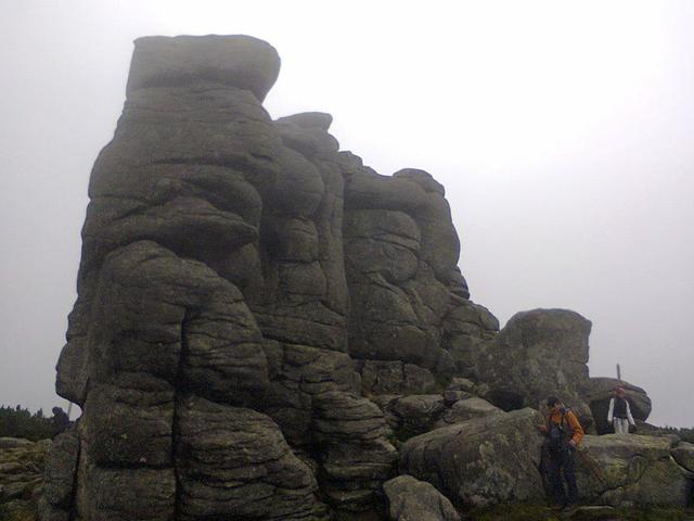 Image for  Sunflower rocks 