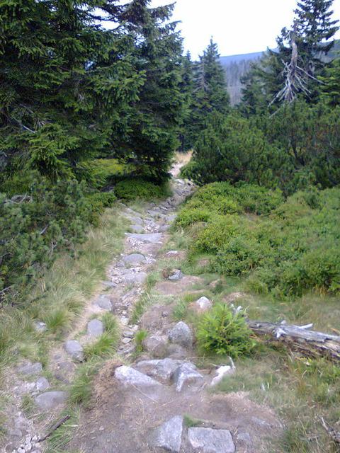 Image for Trail in the Giant Mountains