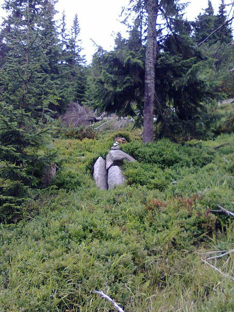 Image for Strange stones on the trail