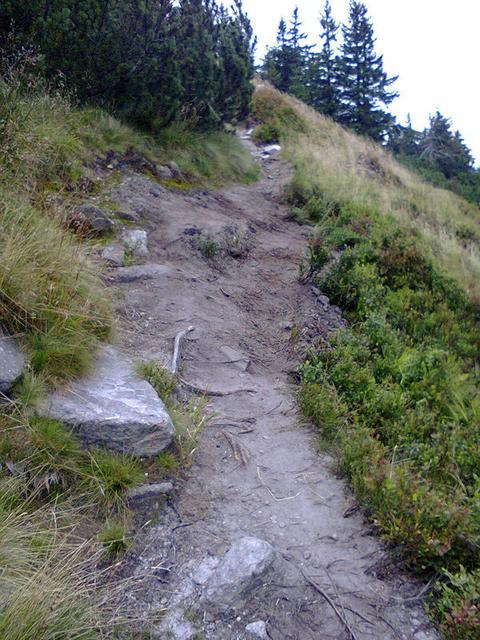 Image for Trail in the Giant Mountains
