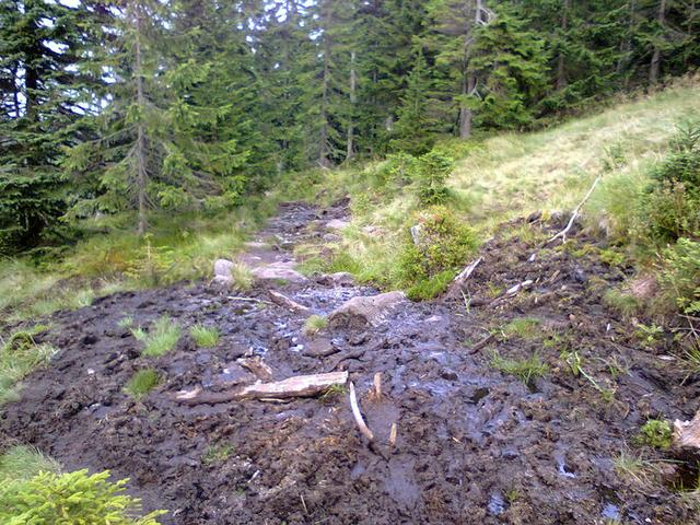 Image for Trail in the Giant Mountains