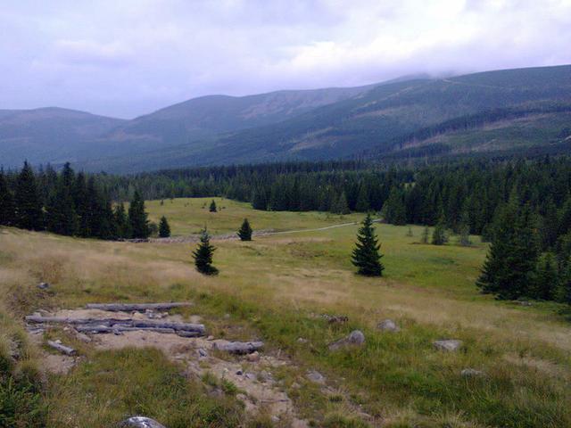 Image for Grassland called Polana in the Giant Mountains