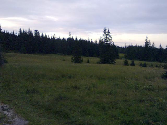 Image for Grassland called Polana in the Giant Mountains
