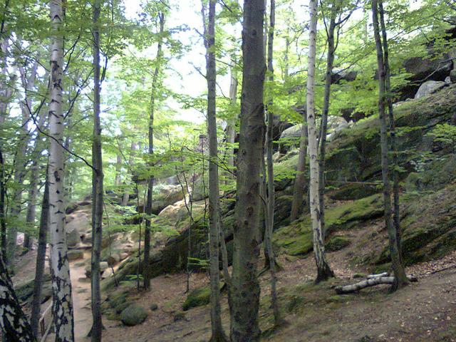 Image for Trail to Chojnik castle