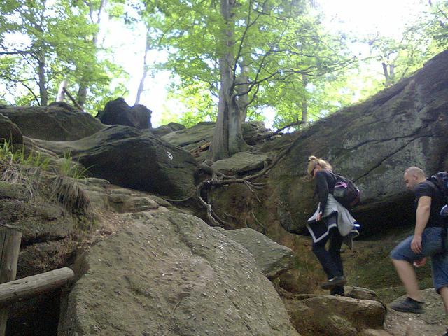 Image for Trail to Chojnik castle
