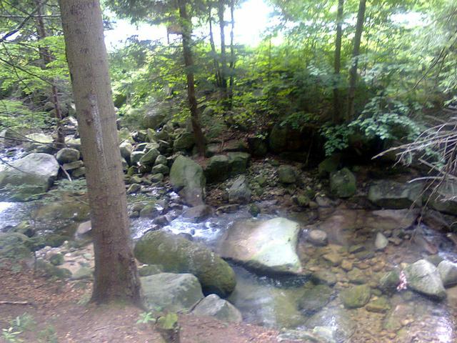 Image for Stream in the Giant Mountains